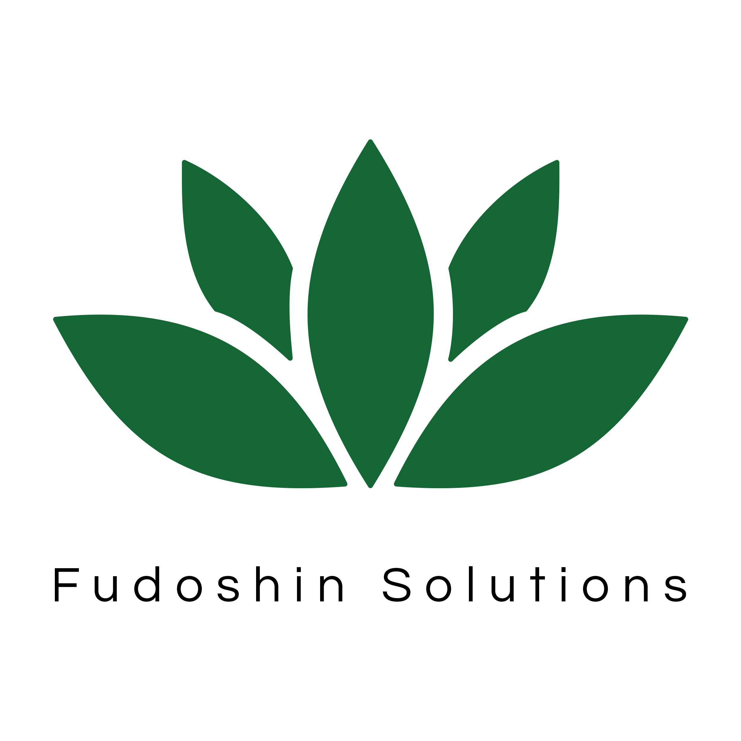 Fudoshin Solutions